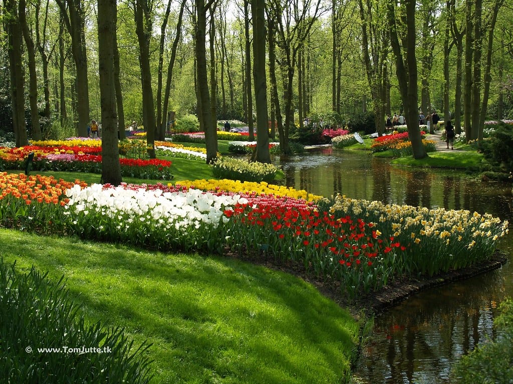 Netherlands, KeukenHof, Lisse