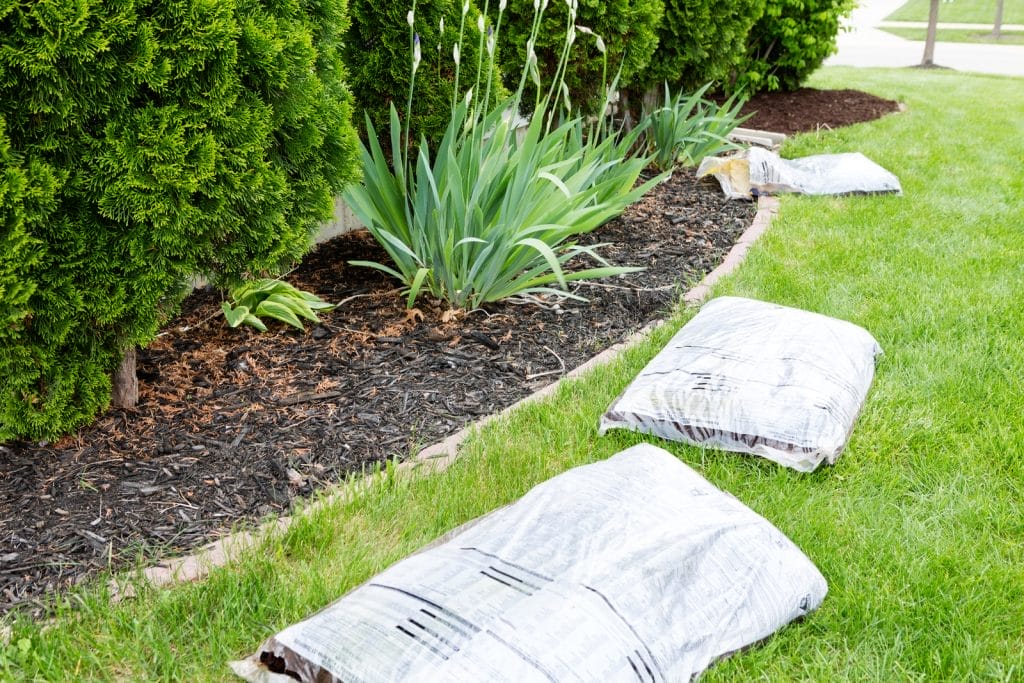 mulch in de tuin