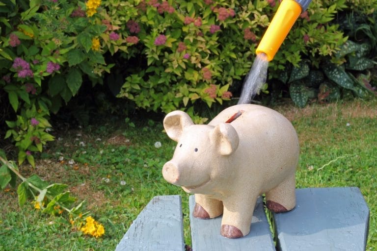 water-wise-gardening
