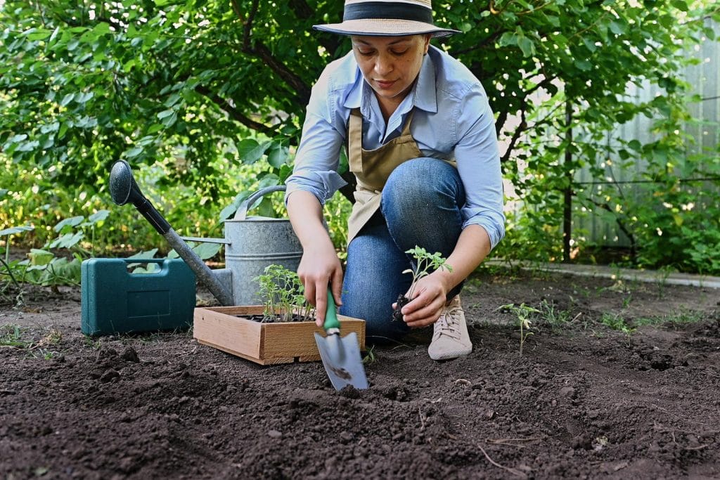 eco-tuin-planten