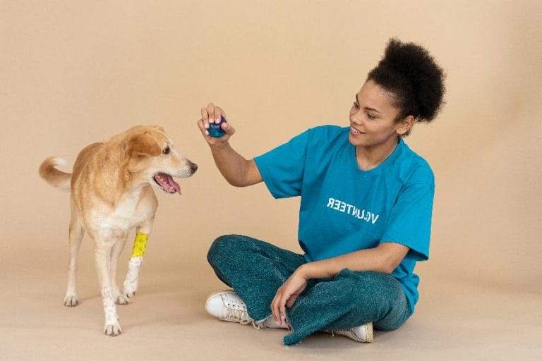 pet ownership considerations guide