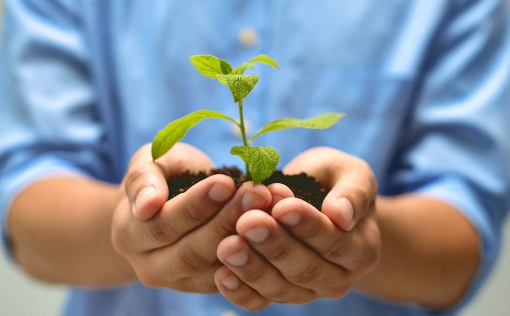 eco-friendly-farming-practices
